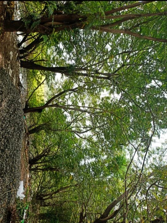 Thamizhkudiyarasarsethu