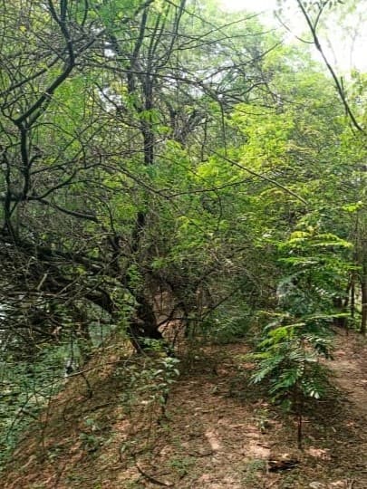Thamizhkudiyarasarsethu
