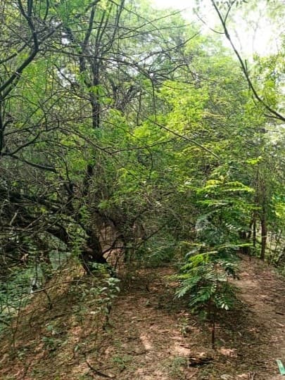 Thamizhkudiyarasarsethu
