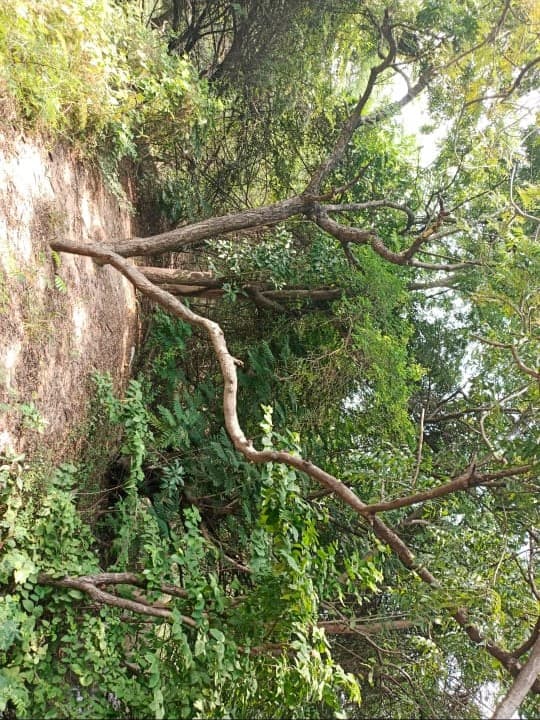 Thamizhkudiyarasarsethu