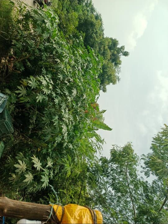 Thamizhkudiyarasarsethu