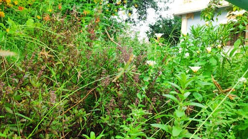 Thamizh kudiyarasar sethu land, Their Crime: The Complete Story of Illegal Temple Construction & TANGEDCO Vigilance Action